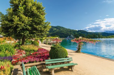  © pkazmierczak-fotolia.com