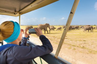  &copy; kasto-stock.adobe.com