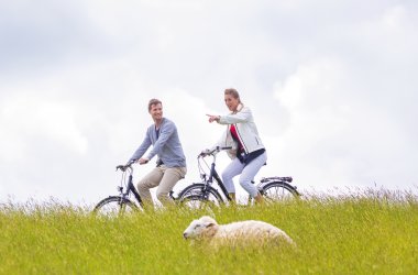  © Kzenon-stock.adobe.com