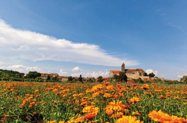  &copy; dk-fotowelt-fotolia.com