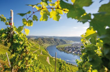  &copy; mh90photo-stock.adobe.com