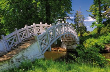  &copy; LianeM-stock.adobe.com