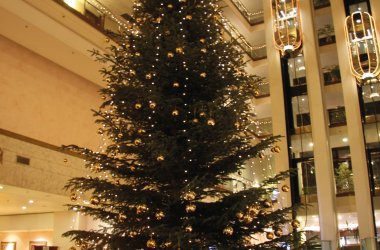  © Maritim Hotelgesellschaft mbH