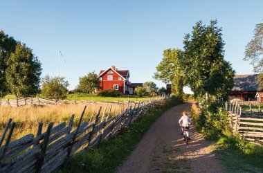  © Almgren-fotolia.com