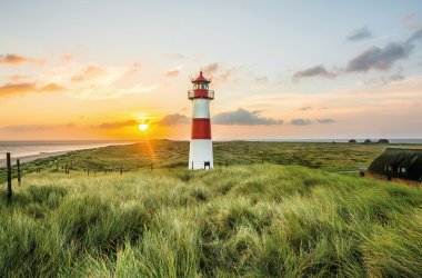  © Benno Hoff-stock.adobe.com