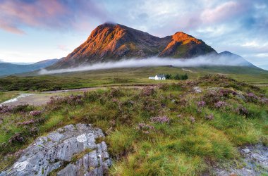  © Helen Hotson - stock.adobe.com