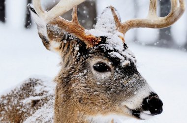  © Pierre-fotolia.com