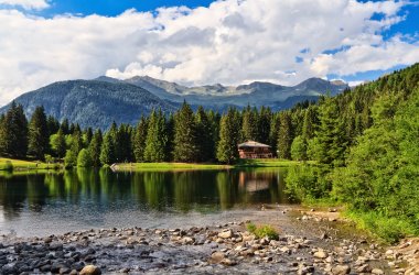  &copy; Antonio Scarpi-fotolia.com