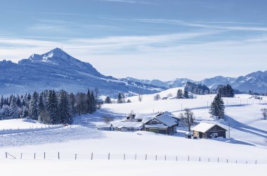  © ARochau-fotolia.com