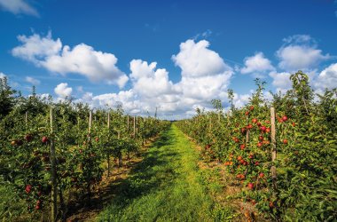  &copy; powell83 - stock.adobe.com