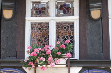  &copy; G. Matthias Schüler-stock.adobe.com