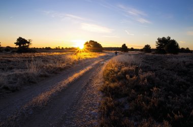  &copy; Meike_I - stock.adobe.com