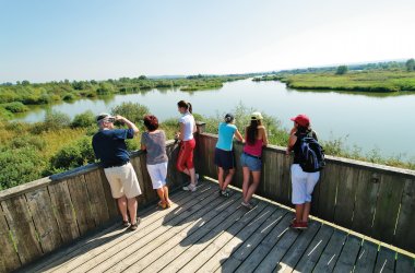  &copy; FrankenTourismus/NFS/Hub