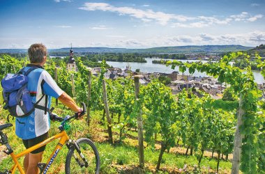  &copy; Rüdesheim Tourist AG