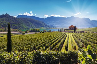  &copy; Thomas - stock.adobe.com