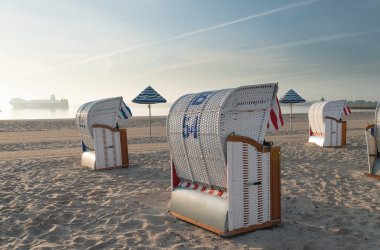  &copy; LTM - Borowiakziehe