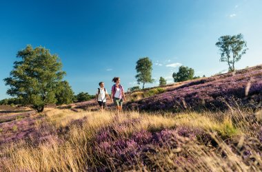  © DZT/Lüneburger Heide GmbH/Dominik Ketz