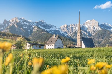  © auergraphics - stock.adobe.com