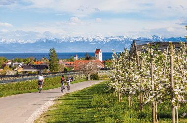  © Jan Schuler - stock.adobe.com