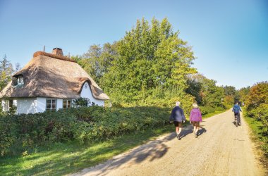  &copy; Henry Czauderna - stock.adobe.com