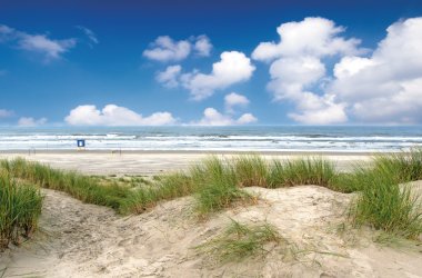  &copy; doris oberfrank-list - stock.adobe.com