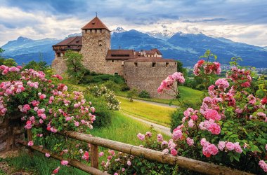  © Boris Stroujko - stock.adobe.com
