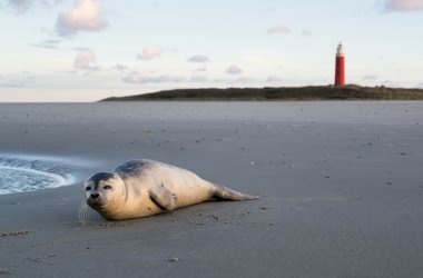  &copy; Björn Wylezich - stock.adobe.co