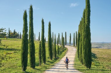  &copy; Uwe - stock.adobe.com