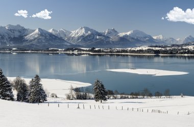  © Wolfilser - stock.adobe.com