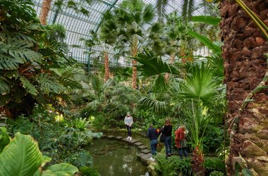  &copy; Tom Wolf/Palmengarten   