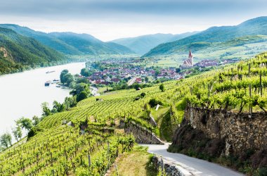  &copy; Sergey Fedoskin - stock.adobe.com