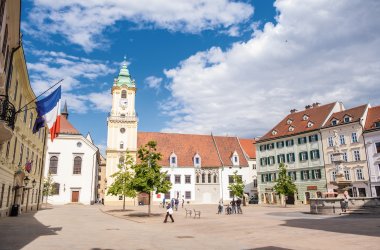  © Zuzana - stock.adobe.com