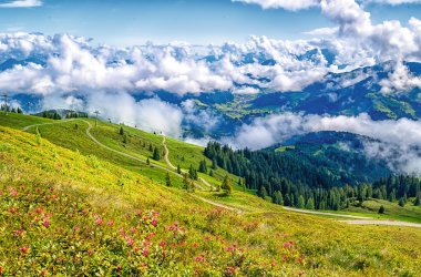  © Sebastian Köhler - stock.adobe.com