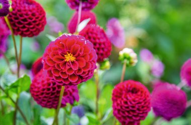  &copy; JeanLuc Ichard - stock.adobe.com