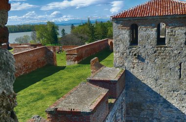  © cascoly2 - stock.adobe.com