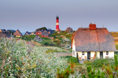  &copy; DZT/Francesco Carovillano