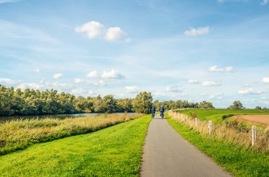  © Ruud Morijn - stock.adobe.com