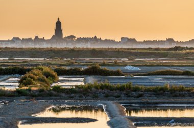  © Subphoto - stock.adobe.com