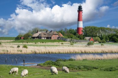  &copy; alfotokunst - stock.adobe.com