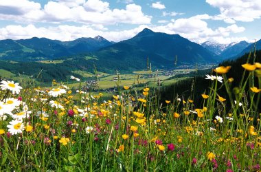  © TVB Flachau