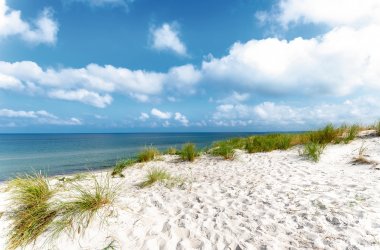  © js-photo - stock.adobe.com