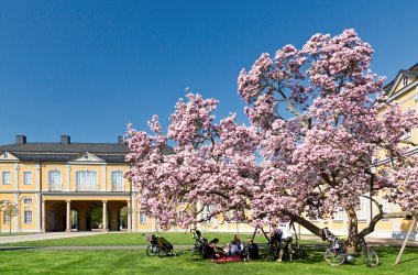 &copy; Stephanie Eichler - stock.adobe.com