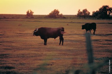  &copy; Scope/J. Guillard