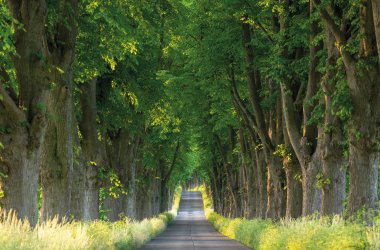  &copy; ferkelraggae - stock.adobe.com