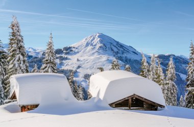  &copy; Gerold H. Waldhart - stock.adobe.com