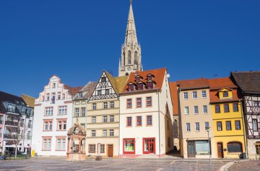  © venemama - stock.adobe.com