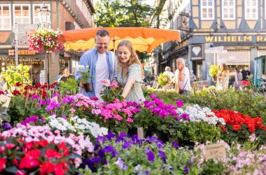  © Stadt Celle/TMN