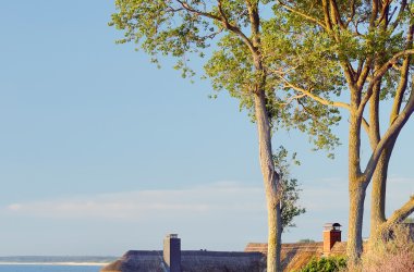  &copy; DZT/Francesco Carovillano