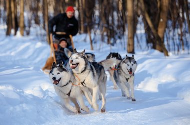  &copy; Maria Moskvitsova - stock.adobe.com