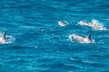  &copy; schusterbauer.com - stock.adobe.com